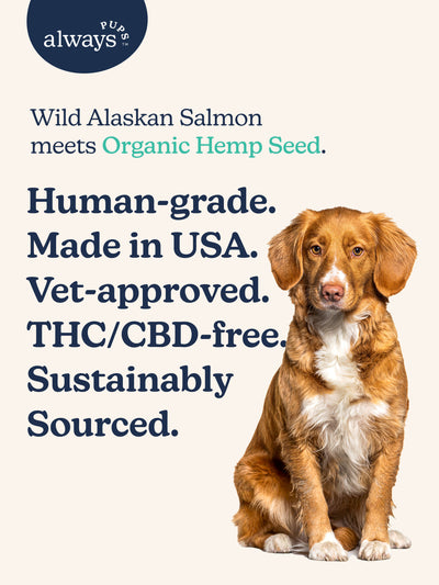 Human-grade, made in USA, vet-approved, THC/CBD-free, sustainably sourced Wild Alaskan Salmon with Hemp seed oil