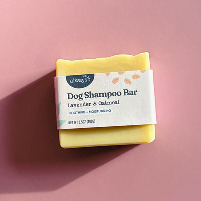 Dog Shampoo and Conditioner Bar Set with Paw Balm
