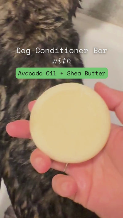 Dog Conditioner Bar with Shea Butter & Avocado Oil