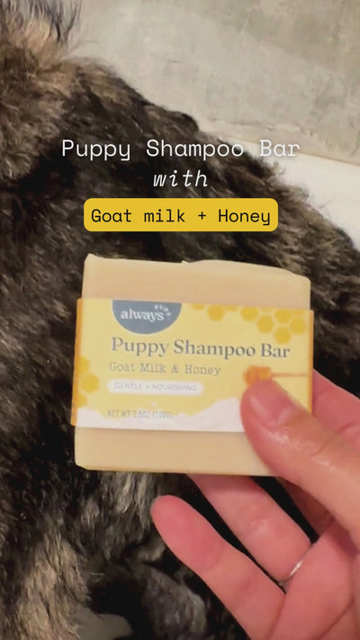 Puppy Shampoo Bar with Goat Milk & Honey