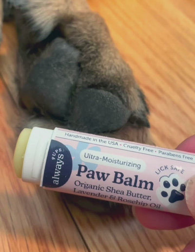 AlwaysPups All Natural Organic Paw Balm for Dogs - product demo on applying it on the dog's paw